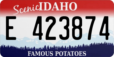 ID license plate E423874