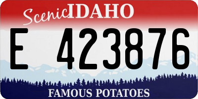 ID license plate E423876