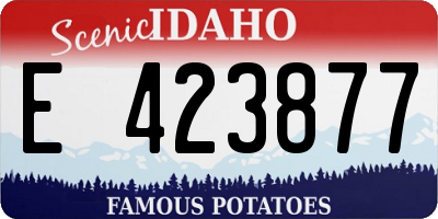 ID license plate E423877