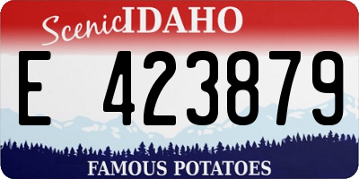 ID license plate E423879