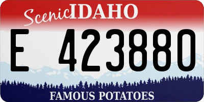 ID license plate E423880