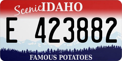 ID license plate E423882