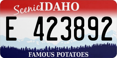 ID license plate E423892