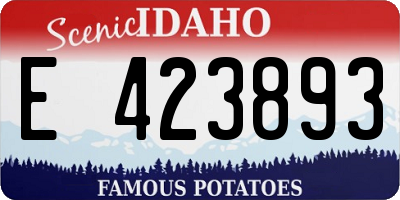 ID license plate E423893