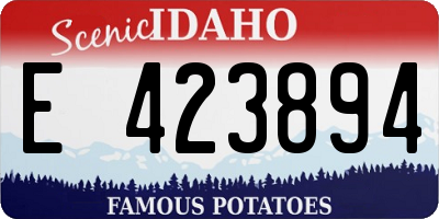 ID license plate E423894