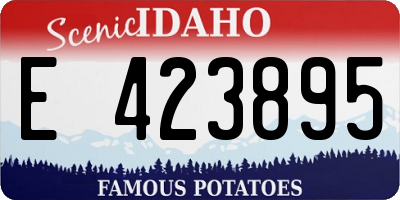 ID license plate E423895