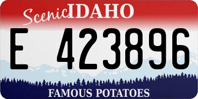 ID license plate E423896