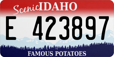 ID license plate E423897