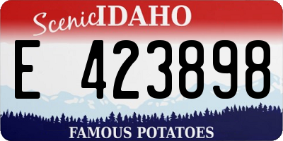ID license plate E423898