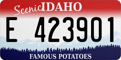 ID license plate E423901