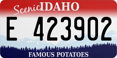 ID license plate E423902