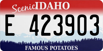 ID license plate E423903