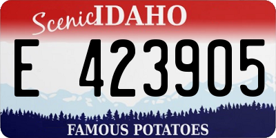 ID license plate E423905