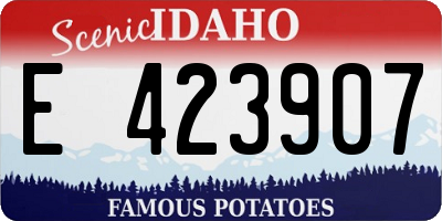 ID license plate E423907