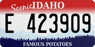 ID license plate E423909