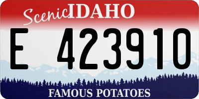 ID license plate E423910