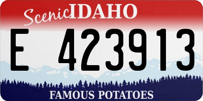 ID license plate E423913