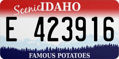 ID license plate E423916