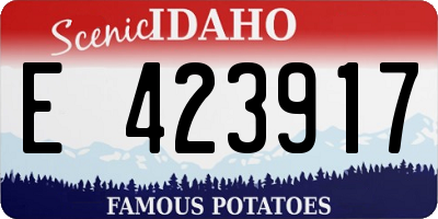 ID license plate E423917