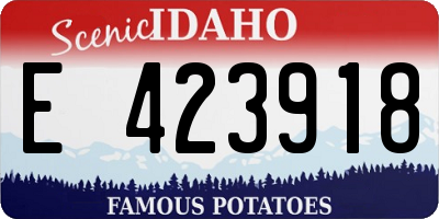 ID license plate E423918