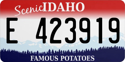ID license plate E423919