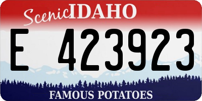ID license plate E423923