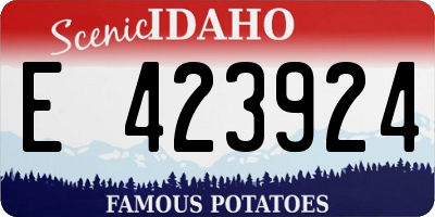 ID license plate E423924