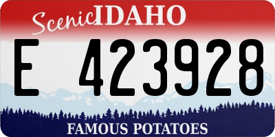 ID license plate E423928