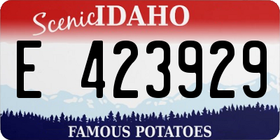 ID license plate E423929