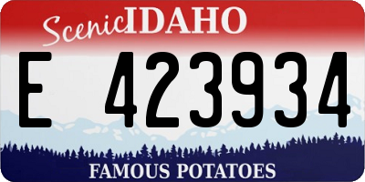 ID license plate E423934