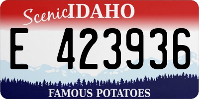 ID license plate E423936