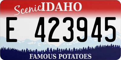 ID license plate E423945