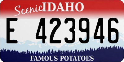 ID license plate E423946