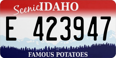 ID license plate E423947