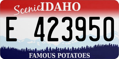 ID license plate E423950