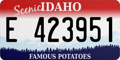 ID license plate E423951