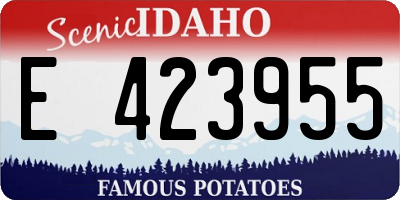ID license plate E423955