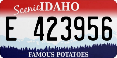 ID license plate E423956