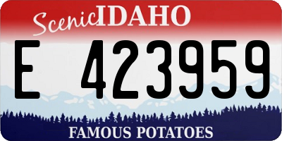 ID license plate E423959
