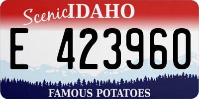 ID license plate E423960