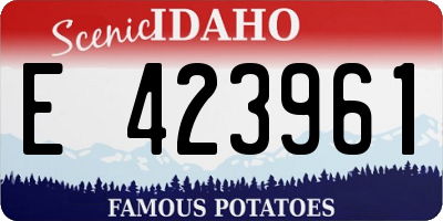 ID license plate E423961
