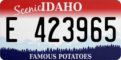 ID license plate E423965