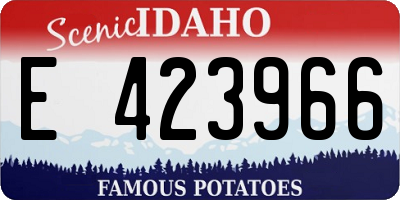 ID license plate E423966