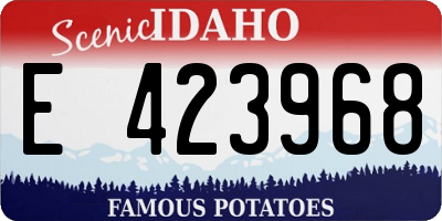 ID license plate E423968