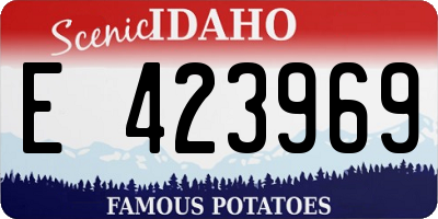 ID license plate E423969