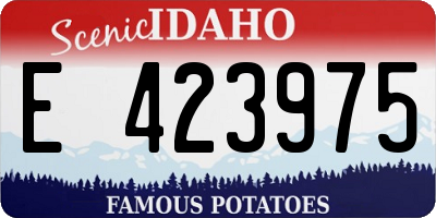 ID license plate E423975