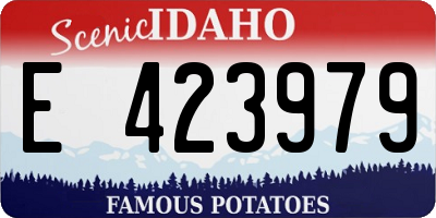 ID license plate E423979