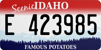 ID license plate E423985