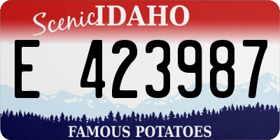 ID license plate E423987