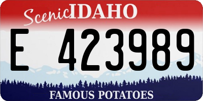 ID license plate E423989